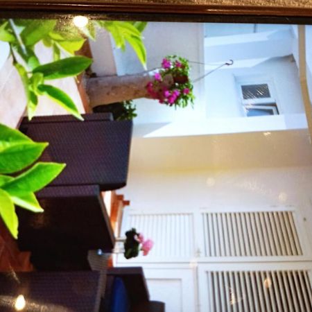 Apartmani Trubi 1 Vodice Esterno foto