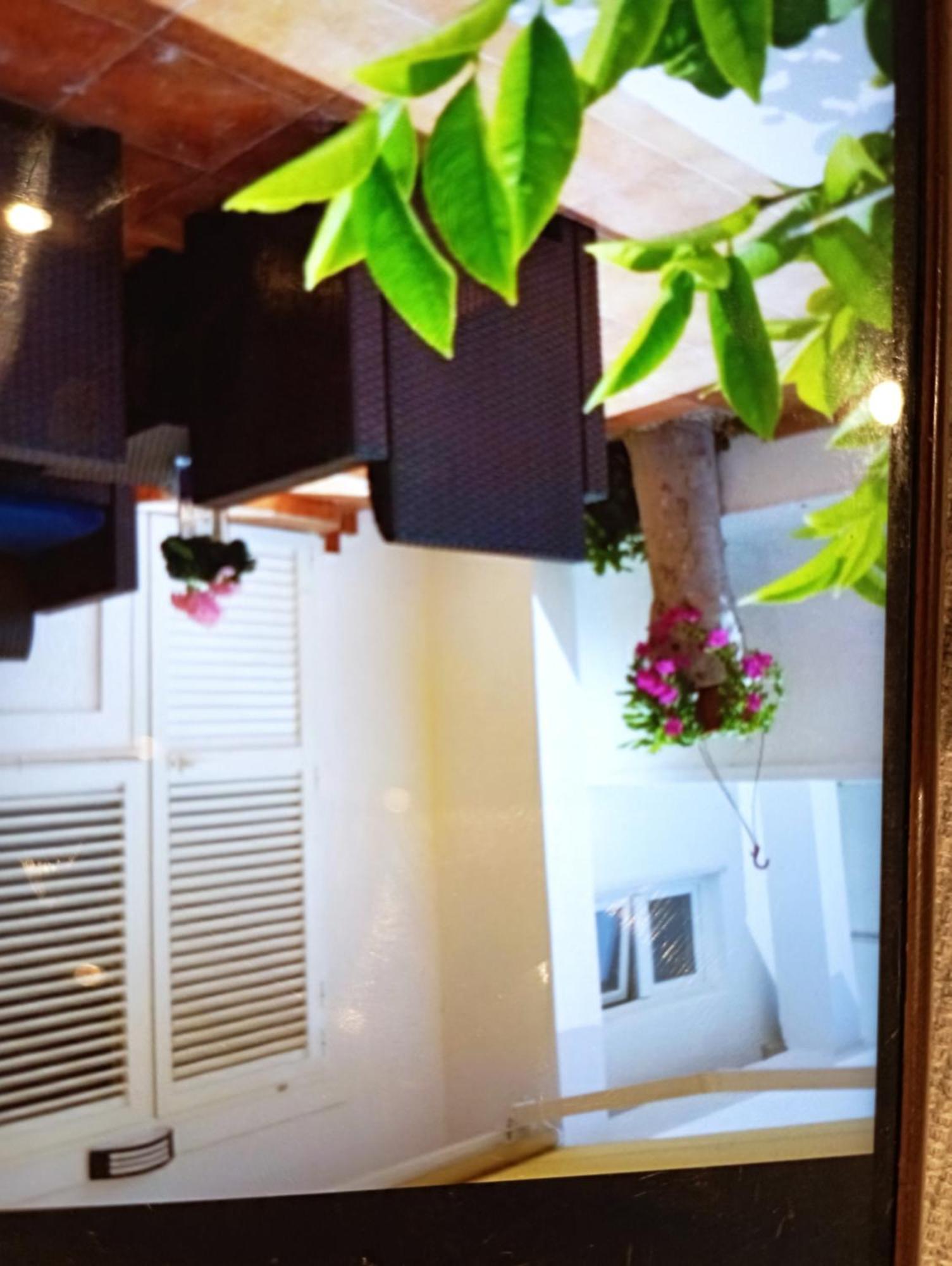 Apartmani Trubi 1 Vodice Esterno foto